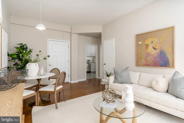 a living room with furniture and a potted plant