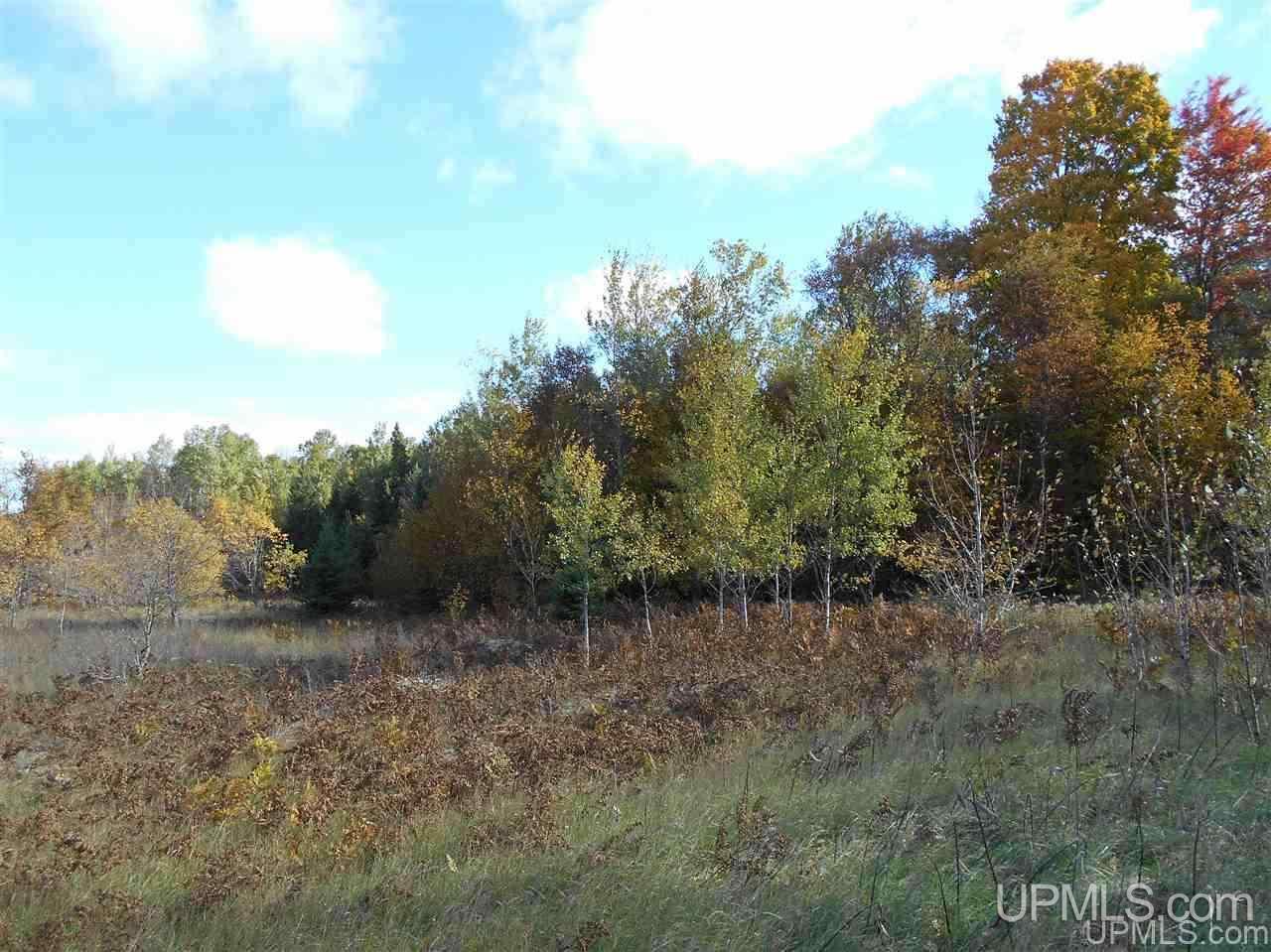 Tbd Tee Lake Road, Unit EAST PARCEL Germfask, MI 49836 - Photo 2 of 10
