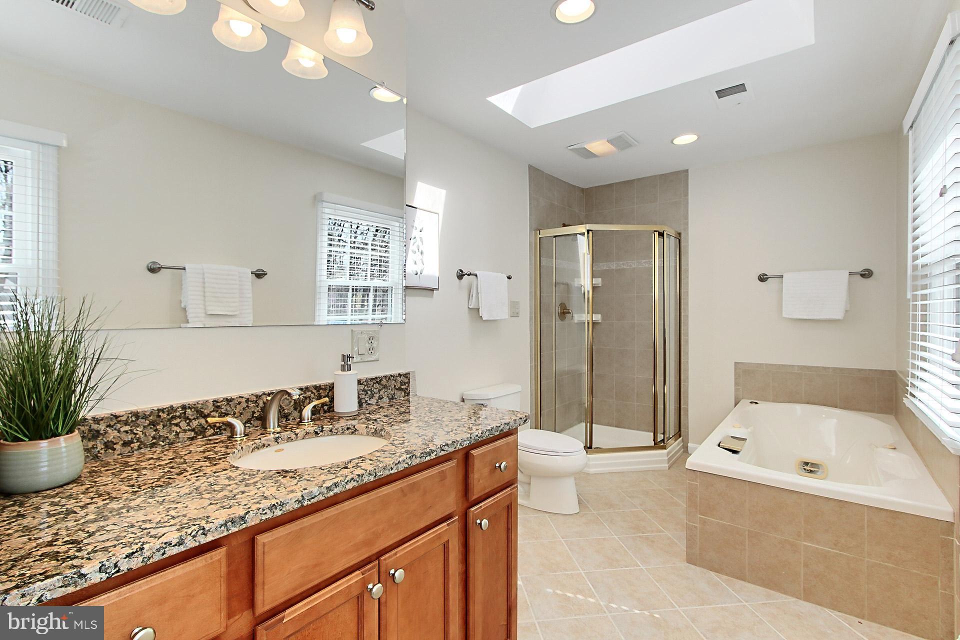 10704 Cross School Road Reston, VA 20191 - Photo 23 of 56 a bathroom with a granite countertop sink a mirror a bathtub and shower