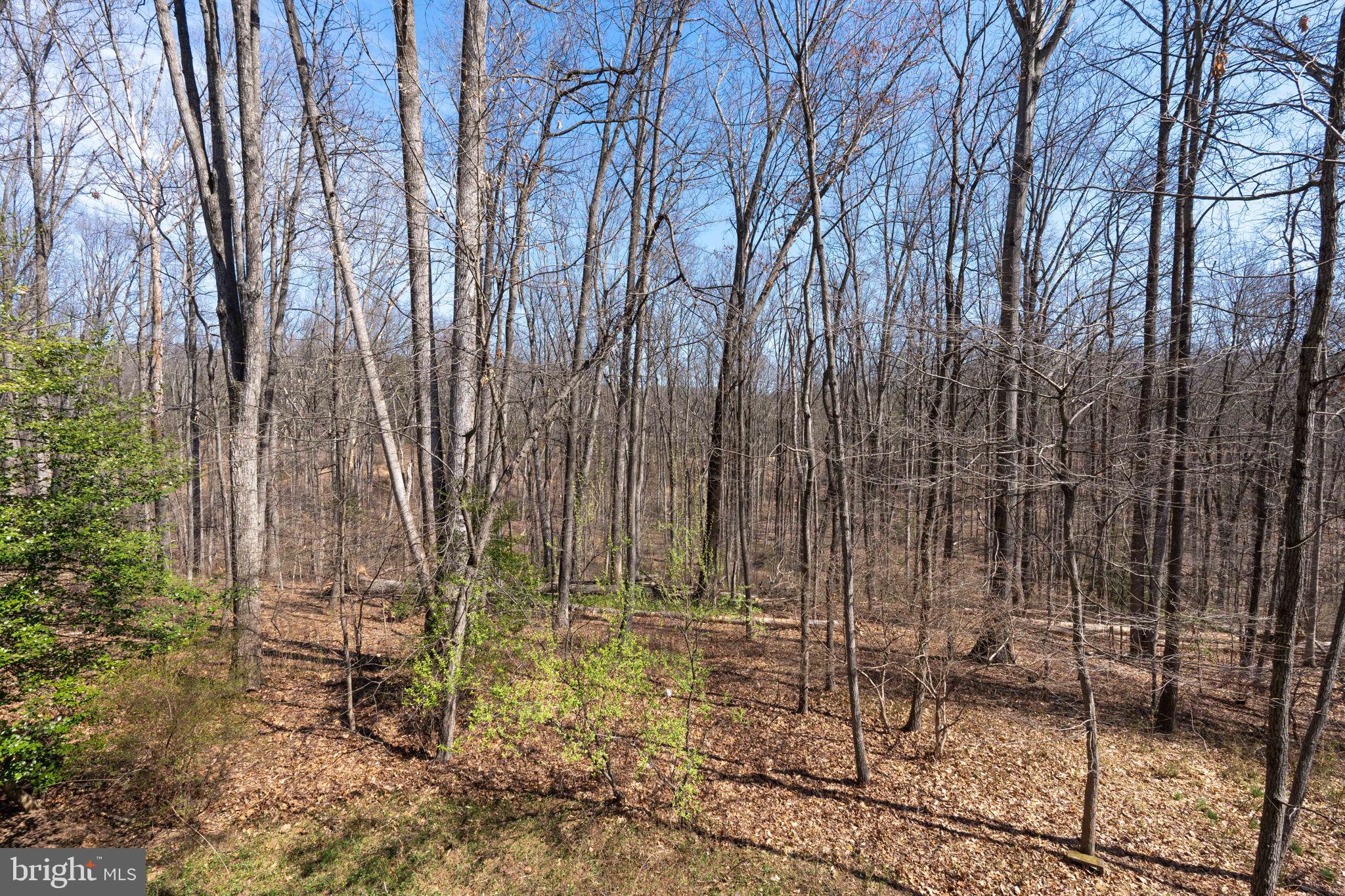 10704 Cross School Road Reston, VA 20191 - Photo 51 of 56 a view of a backyard