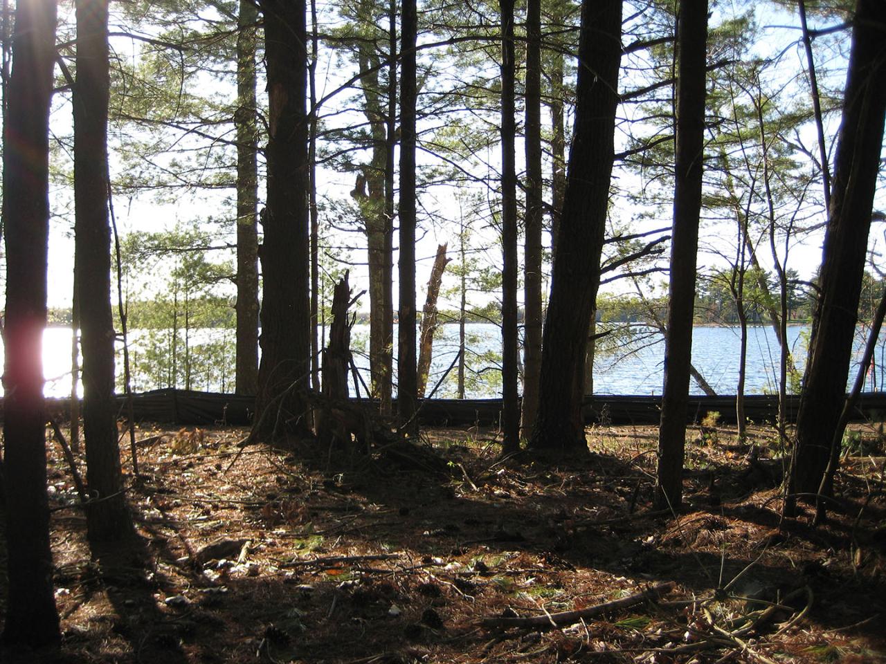 Lot #90 Camp St. George Road Eagle River, WI 54521 - Photo 13 of 16 Gallery Image 13