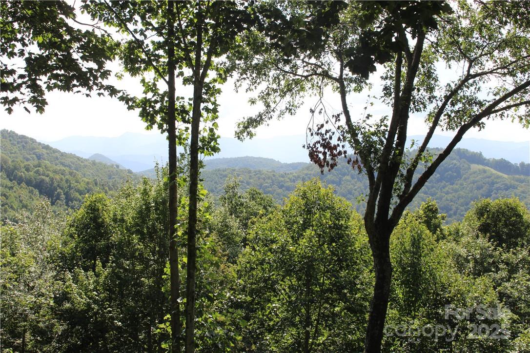 64 High Line Road, Unit 64 Sylva, NC 28779 - Photo 1 of 17 a view of mountain view with lots of trees