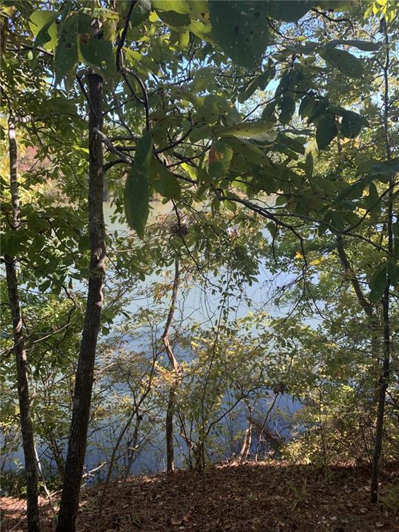 0 Harbour Pointe Pointe, Unit POINTE Sparta, GA 31087 - Photo 11 of 16 a backyard of a house