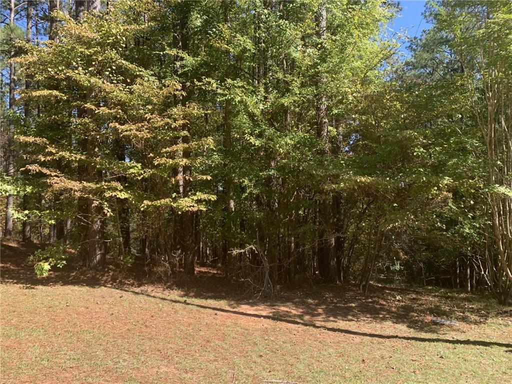 0 Harbour Pointe Pointe, Unit POINTE Sparta, GA 31087 - Photo 12 of 16