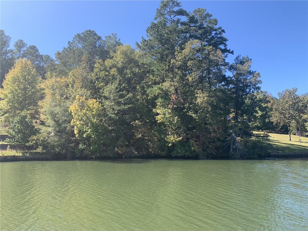 0 Harbour Pointe Pointe, Unit POINTE Sparta, GA 31087 - Photo 2 of 16 a view of a yard