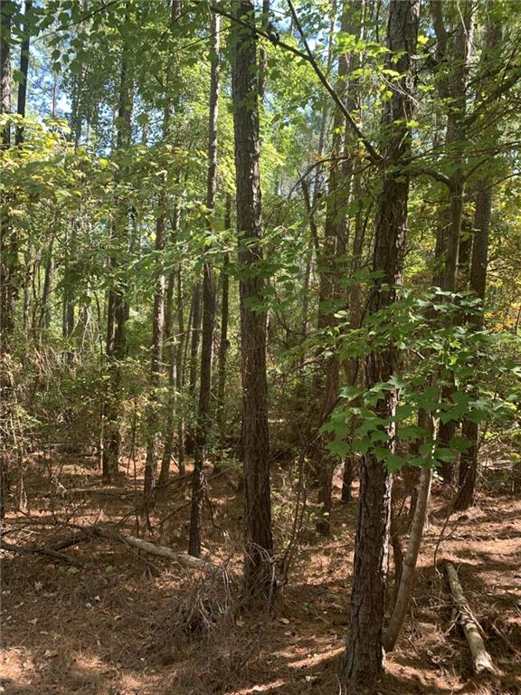 0 Harbour Pointe Pointe, Unit POINTE Sparta, GA 31087 - Photo 6 of 16 a view of forest