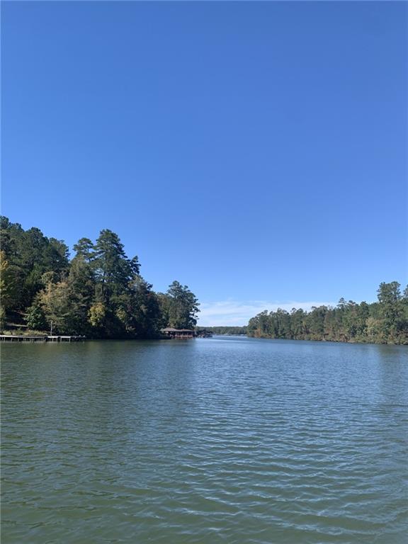 0 Harbour Pointe Pointe, Unit POINTE Sparta, GA 31087 - Photo 7 of 16 a view of a lake view