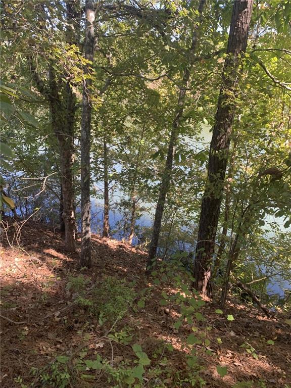 0 Harbour Pointe Pointe, Unit POINTE Sparta, GA 31087 - Photo 8 of 16 a view of a forest with trees
