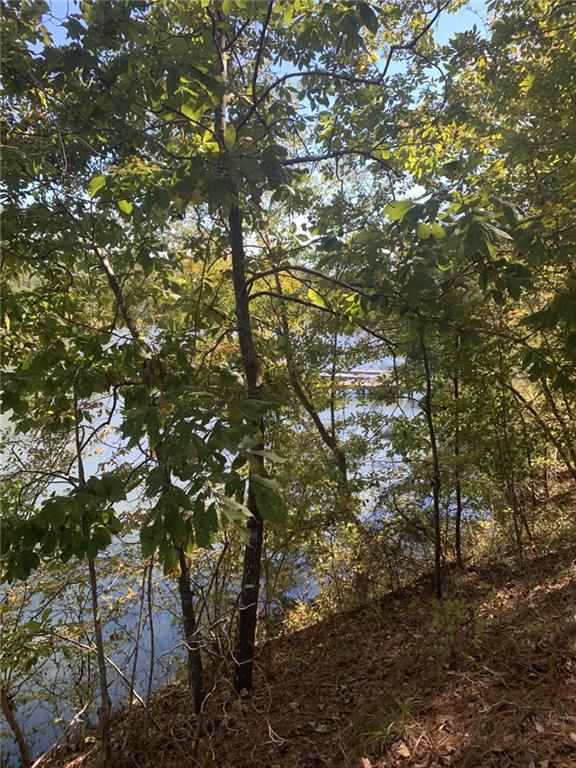 0 Harbour Pointe Pointe, Unit POINTE Sparta, GA 31087 - Photo 10 of 16 a view of tree