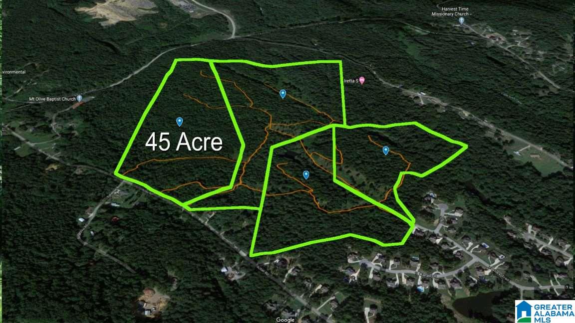 0 Acton Road, Unit 45 ACRE Moody, AL 35004 - Photo 2 of 12