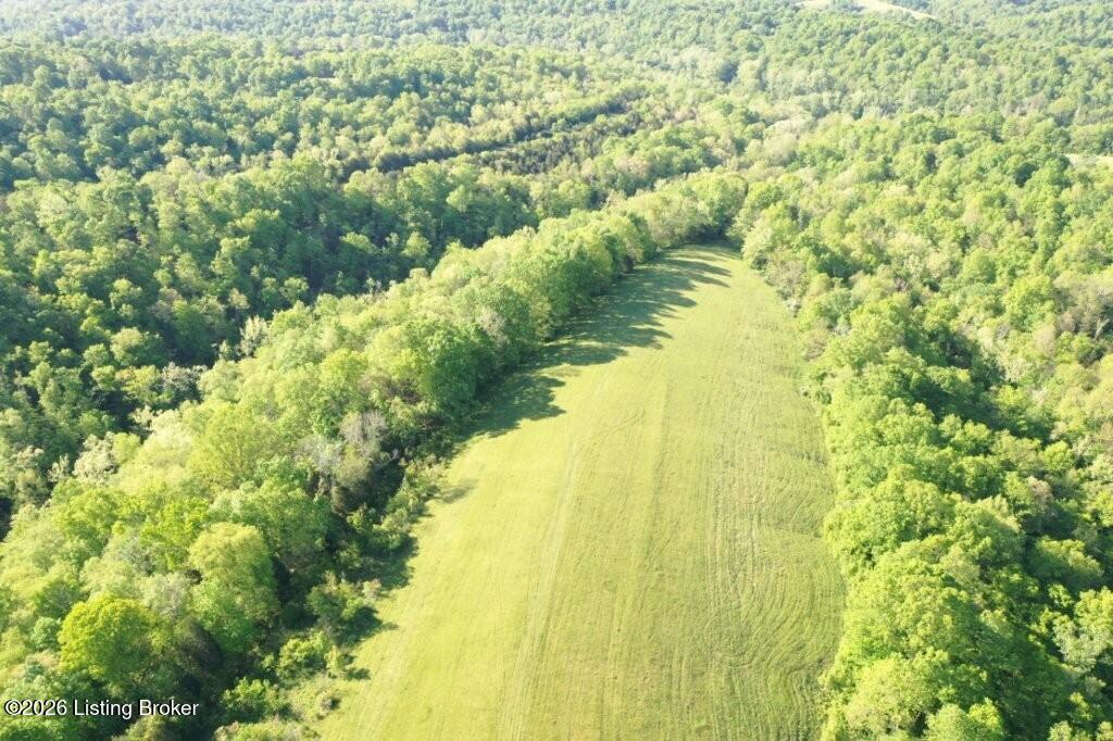 1255 Love Rdg Road, Unit LOT #4 Chaplin, KY 40012 - Photo 7 of 18 love ridge tract 4-7