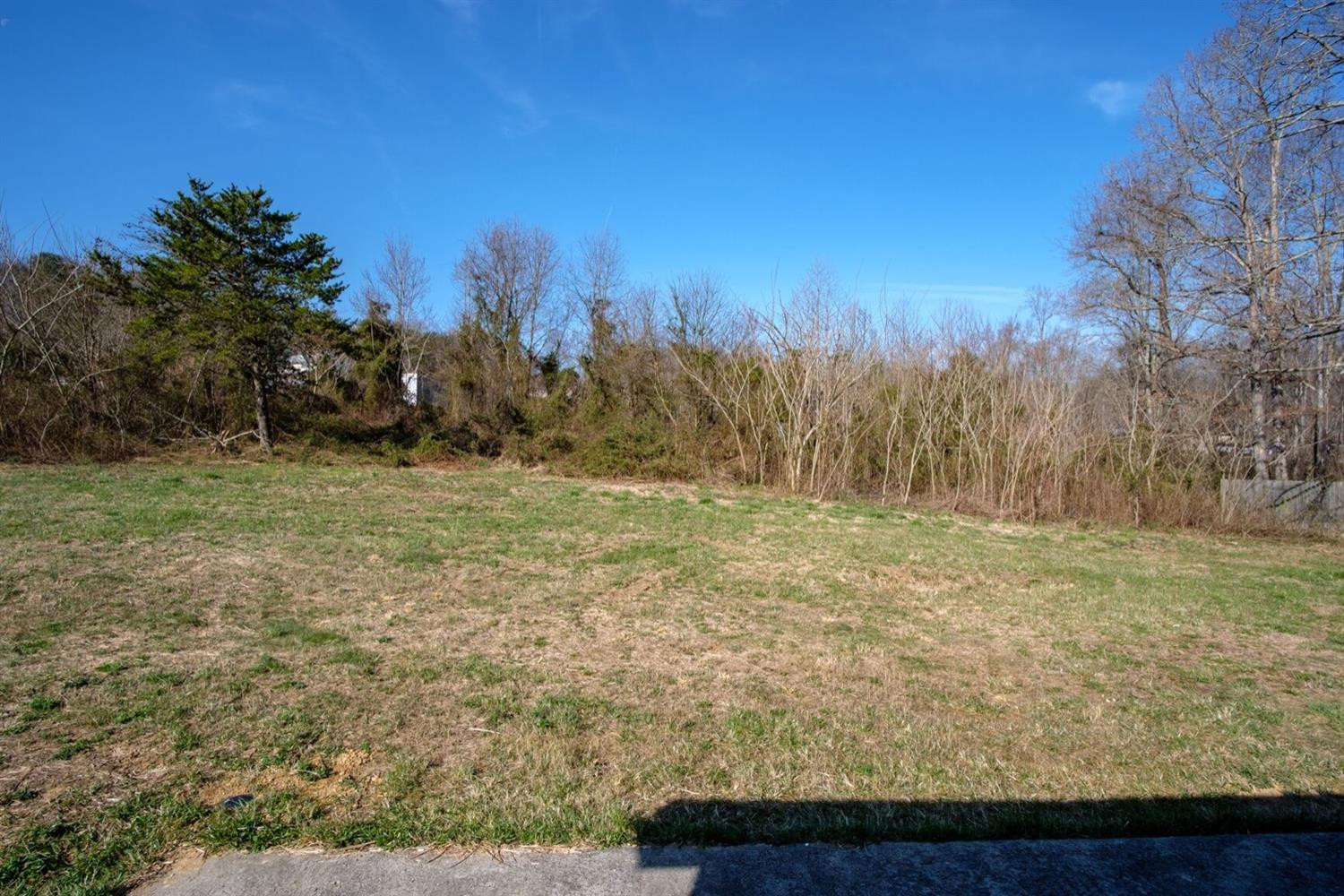 45 Brock Road Corbin, KY 40701 - Photo 7 of 29 Listing Photo