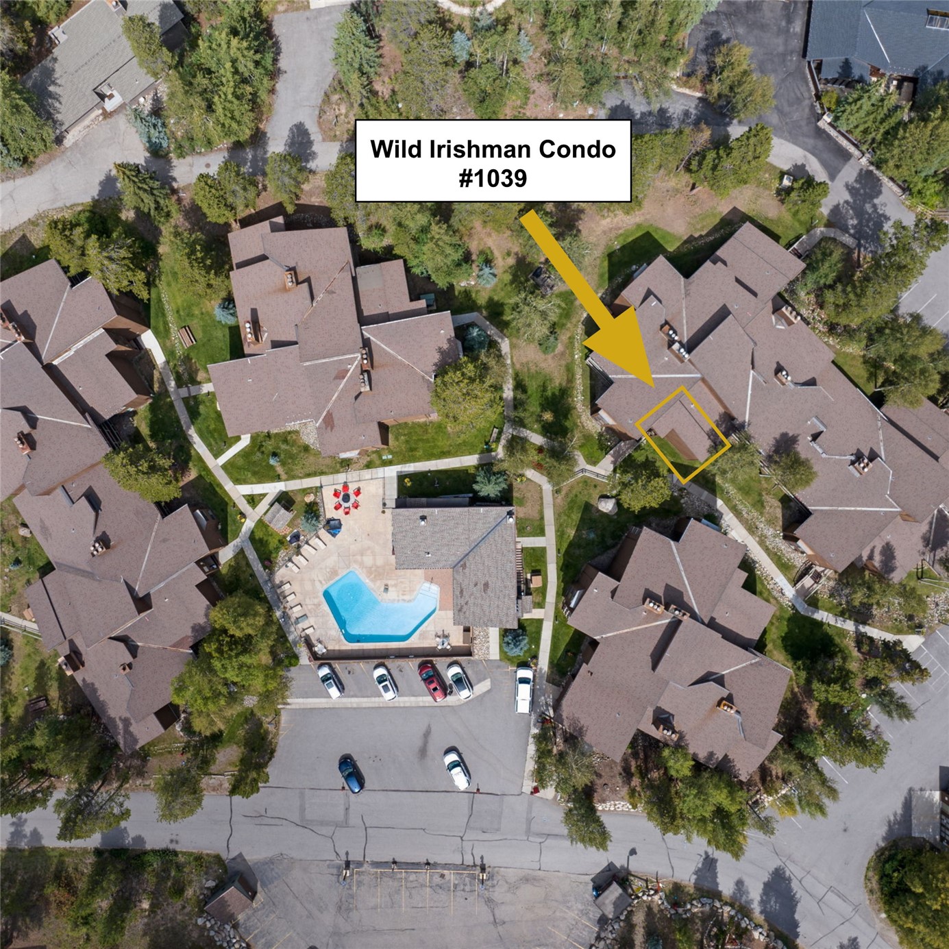 433 Wild Irishman Road, Unit 1039 Keystone, CO 80435 - Photo 17 of 25 Gallery Image 17