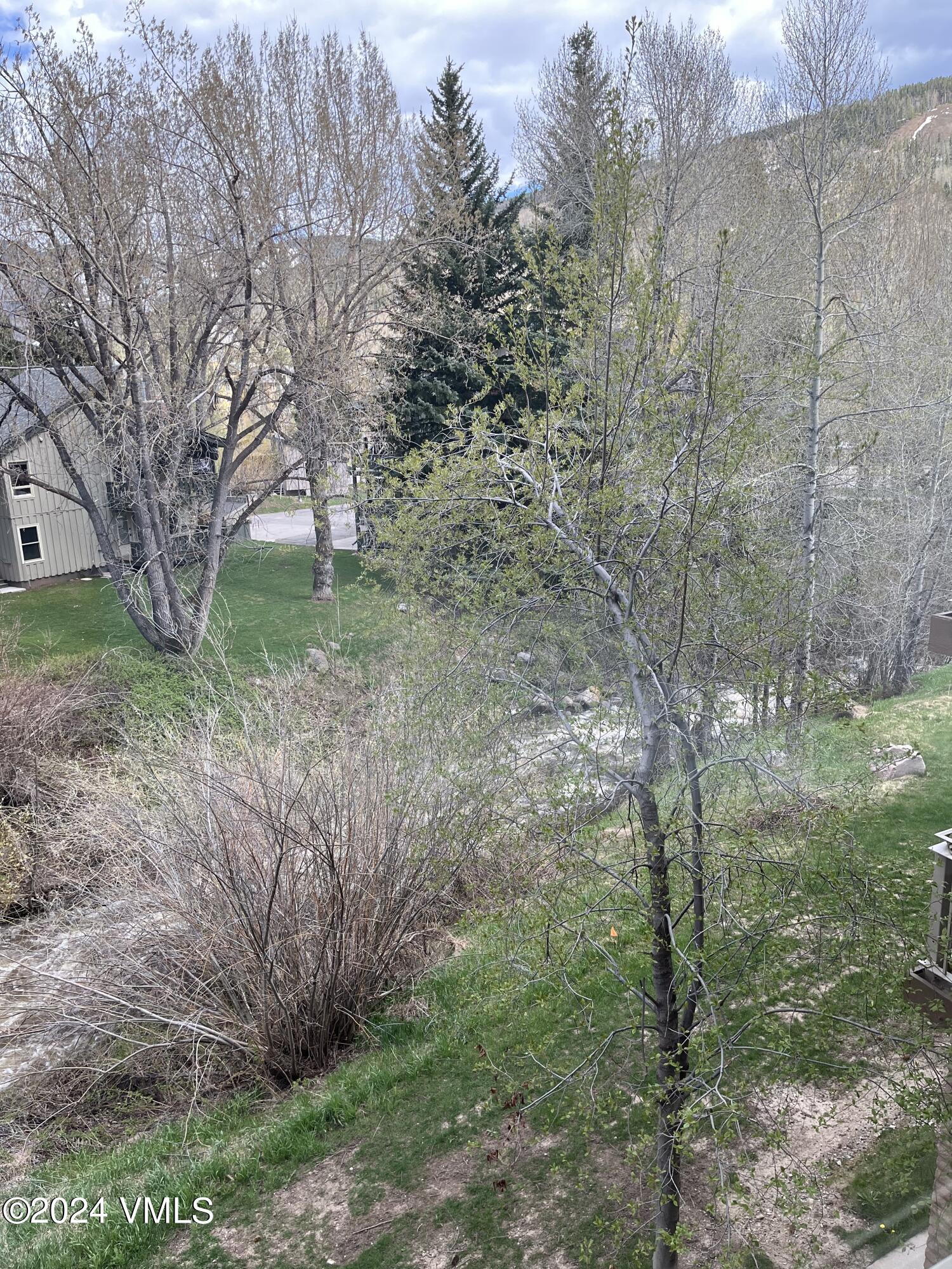 1020 Vail View Drive, Unit 120412 Vail, CO 81657 - Photo 6 of 23 a view of a forest filled with trees
