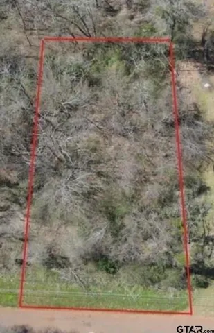 a view of a dry yard