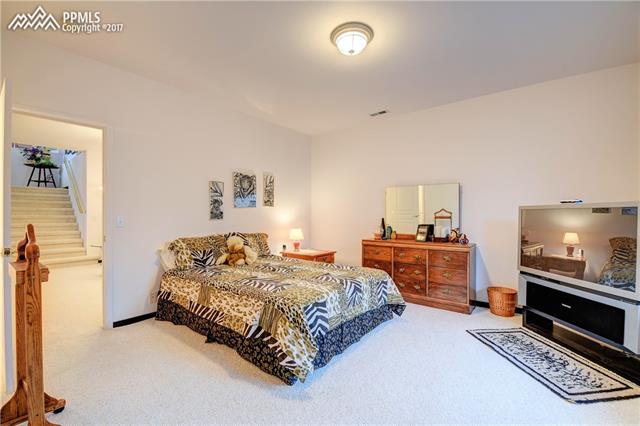 710 Struthers Loop Colorado Springs, CO 80921 - Photo 15 of 18 Bedroom 1 in the Basement