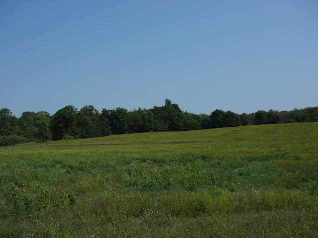 Gunthorpe Road Burr Oak, MI 49030 - Photo 8 of 9 Additional Photo