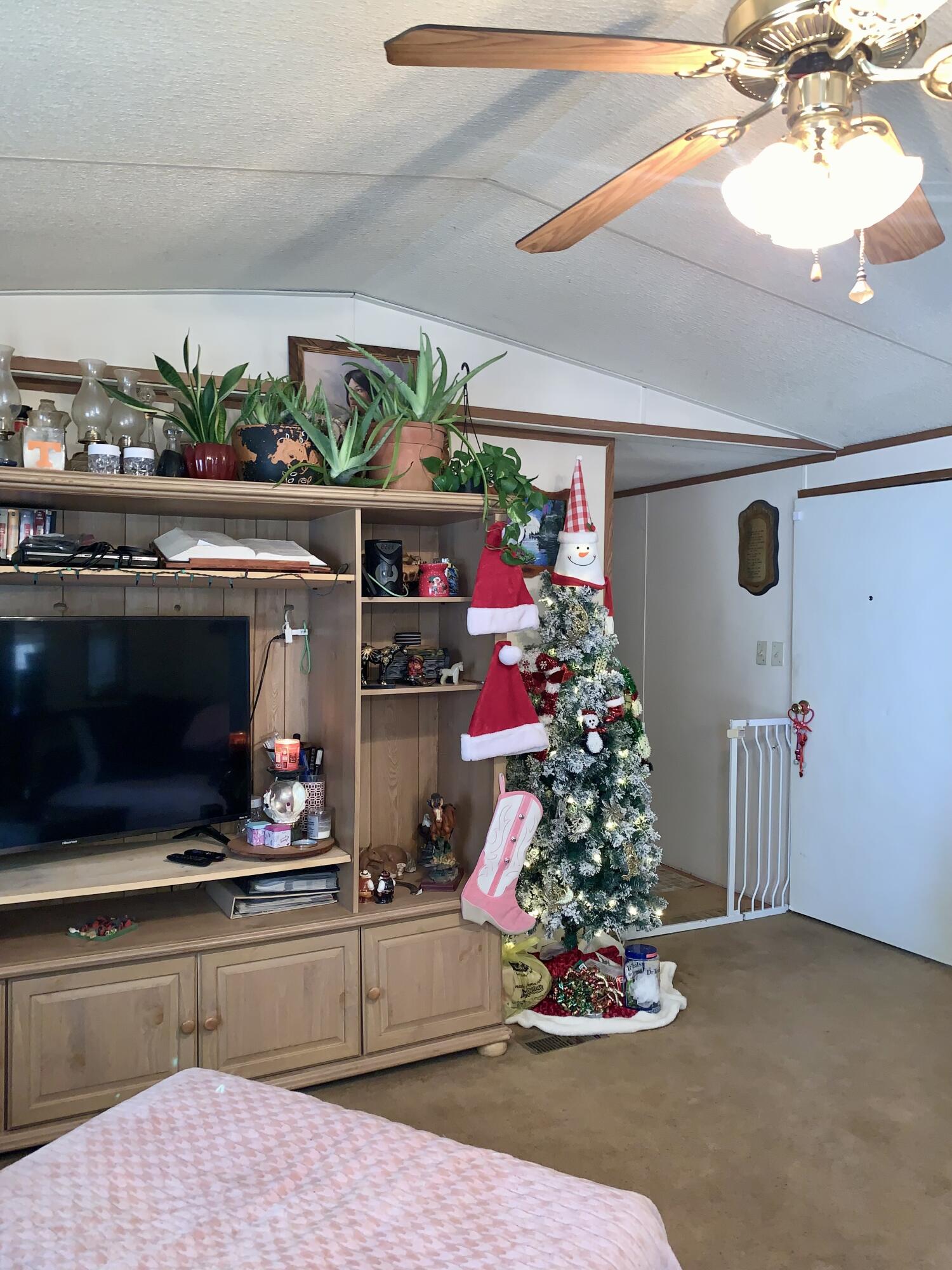 4200 Cottonport Road Decatur, TN 37322 - Photo 5 of 22 5