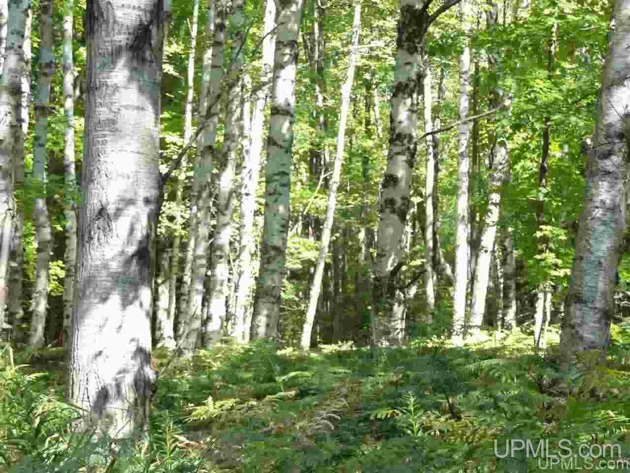 Tbd Freda Road Atlantic Mine, MI 49905 - Photo 14 of 17