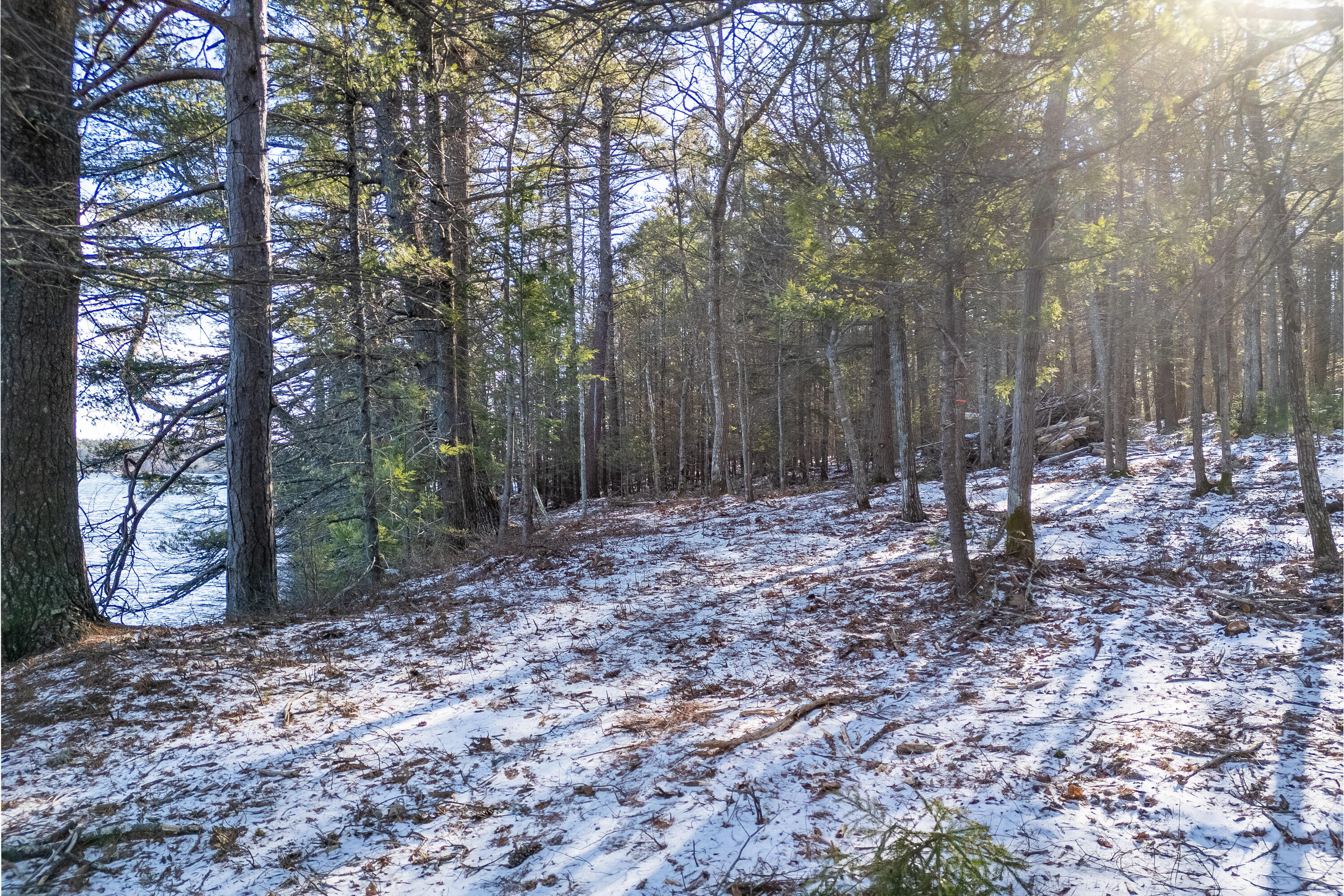 0 Webber Road Georgetown, ME 04548 - Photo 17 of 27 0 Webber Rd_115