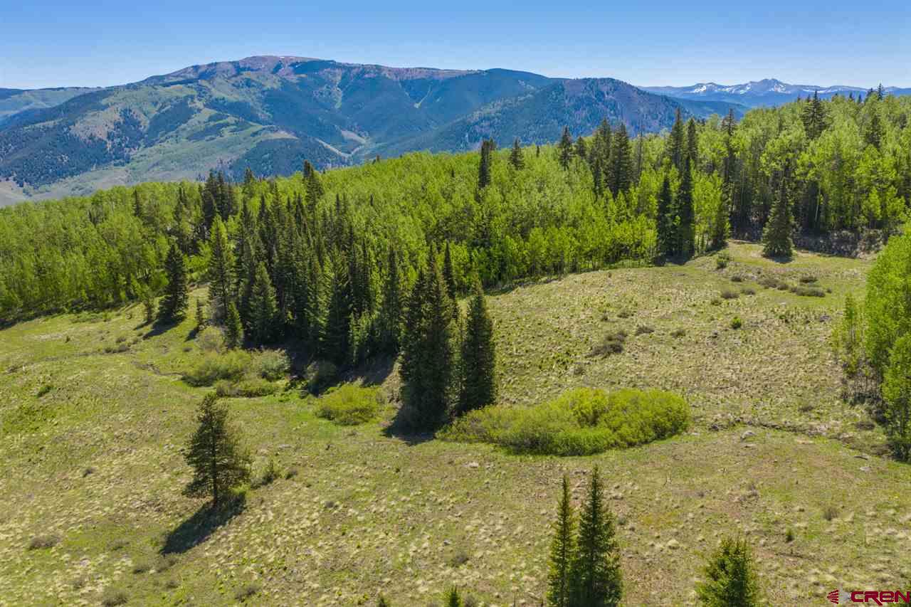 492 Red Mountain Ranch Road Crested Butte, CO 81224 - Photo 11 of 32 Gallery Image 11