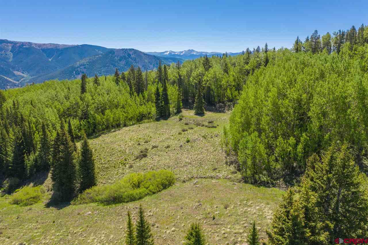 492 Red Mountain Ranch Road Crested Butte, CO 81224 - Photo 13 of 32 Gallery Image 13