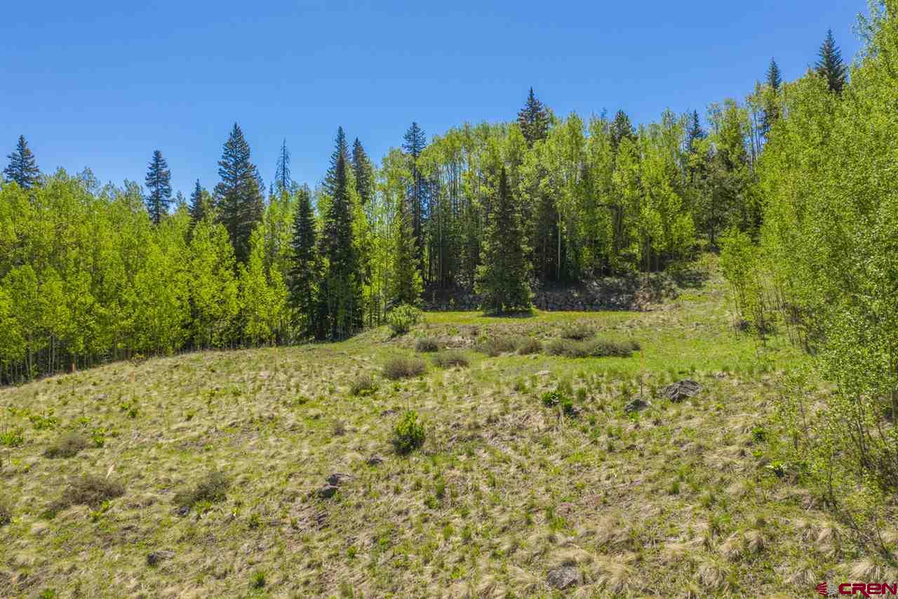 492 Red Mountain Ranch Road Crested Butte, CO 81224 - Photo 14 of 32 Gallery Image 14