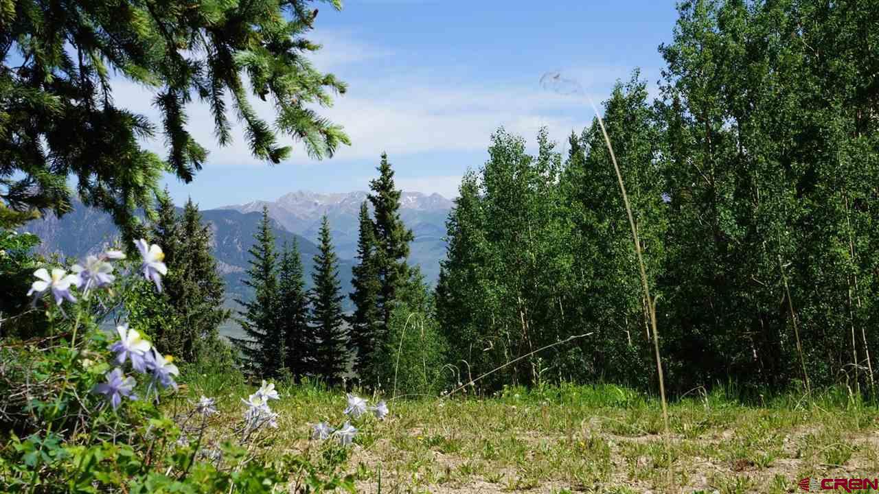 492 Red Mountain Ranch Road Crested Butte, CO 81224 - Photo 20 of 32 Gallery Image 20
