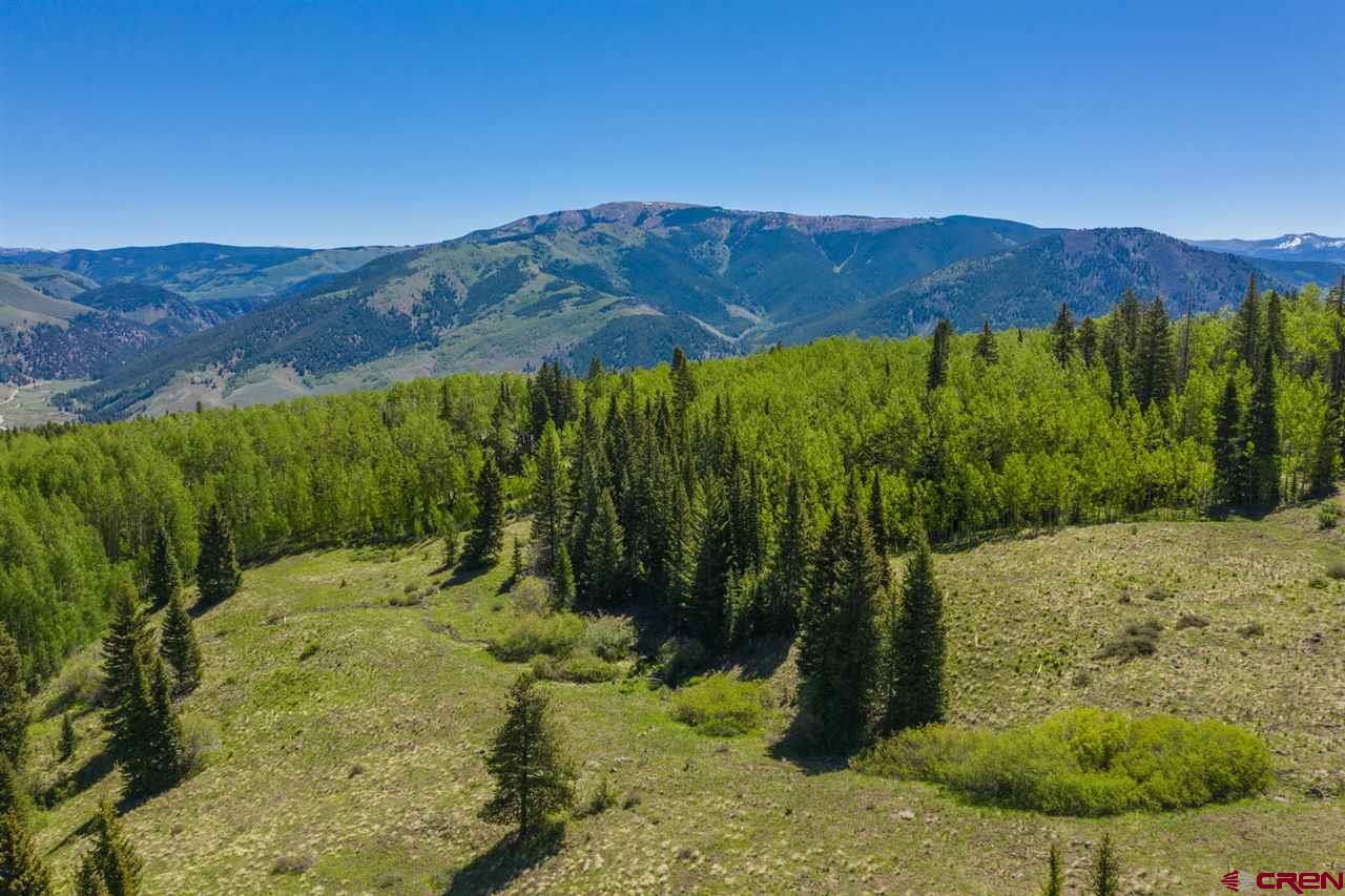 492 Red Mountain Ranch Road Crested Butte, CO 81224 - Photo 21 of 32 Gallery Image 21