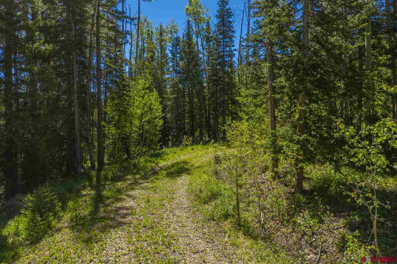 492 Red Mountain Ranch Road Crested Butte, CO 81224 - Photo 4 of 32 Gallery Image 4