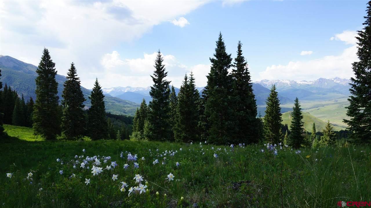 492 Red Mountain Ranch Road Crested Butte, CO 81224 - Photo 8 of 32 Gallery Image 8