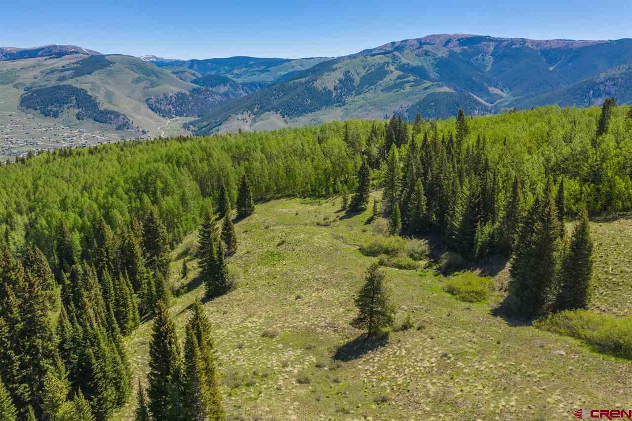 492 Red Mountain Ranch Road Crested Butte, CO 81224 - Photo 9 of 32 Gallery Image 9