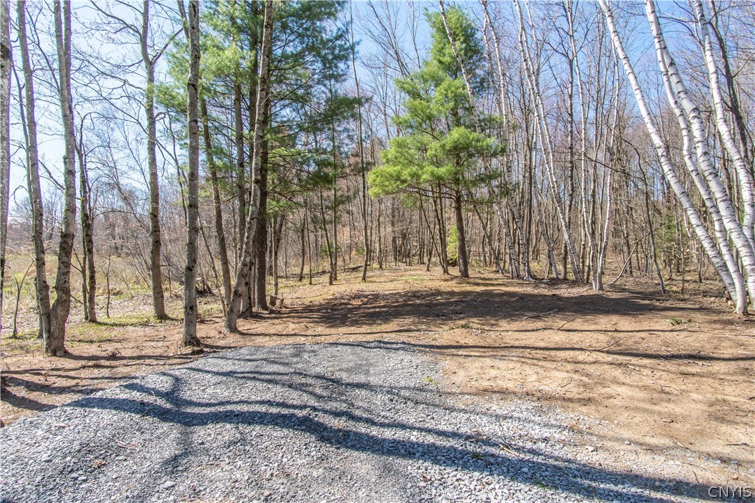 3976 Factory Road Diana, NY 13665 - Photo 21 of 46