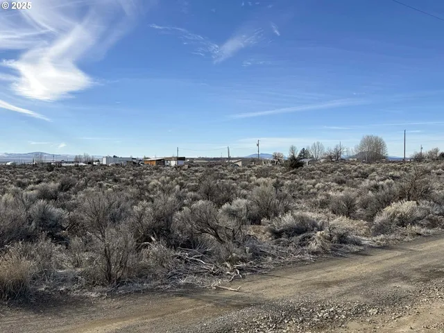a view of a dry yard with wooden fence