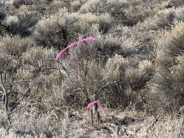 a view of a sky view