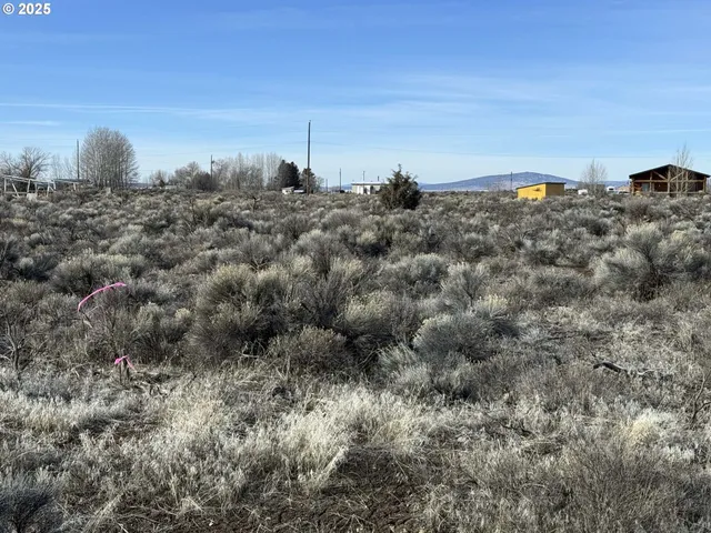 a view of a dry yard