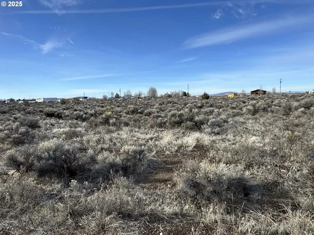 a view of house and tree in front of it