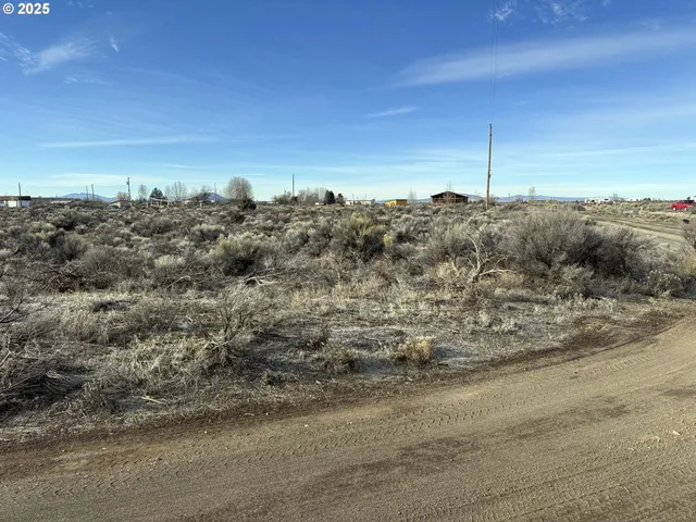 a view of a dry yard