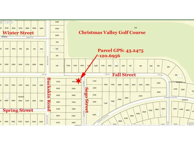 $12,000 | Fall Street, Unit 8800, Christmas Valley, OR 97641