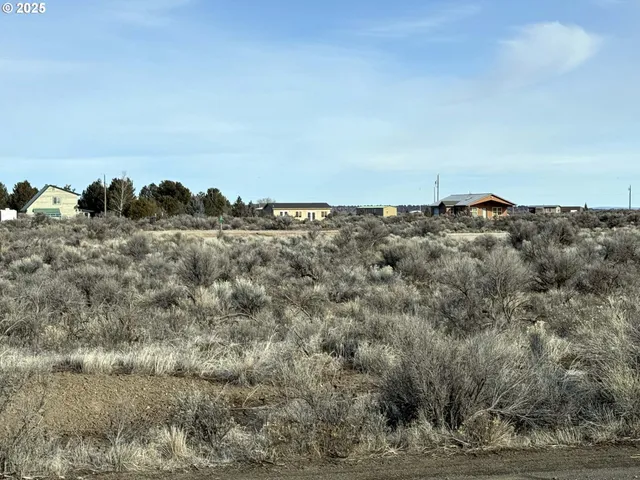 a view of a dry field with trees in background