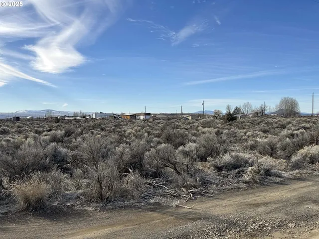 a view of a big yard