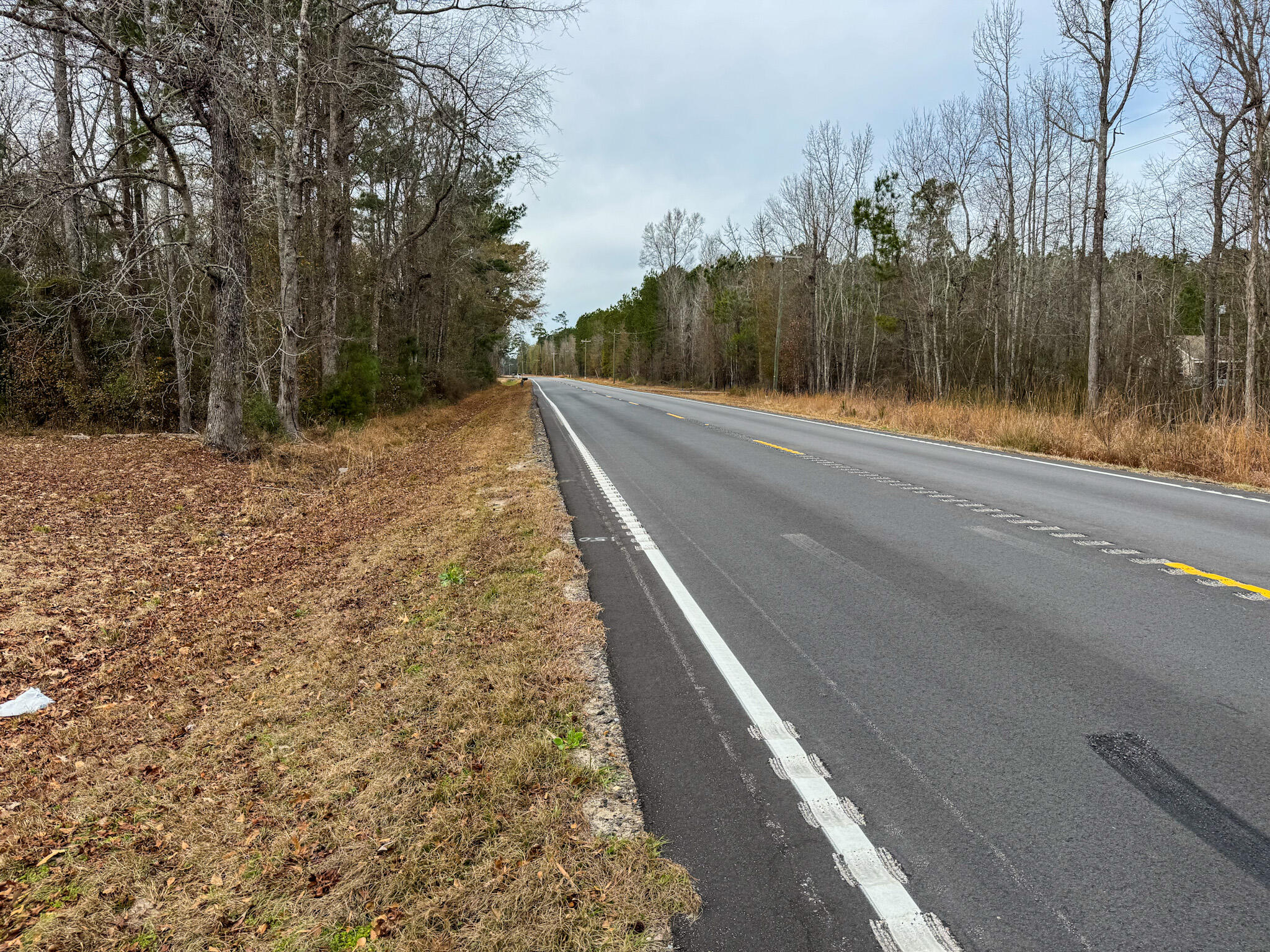 3651 Edisto River Road Branchville, SC 29432 - Photo 8 of 26 IMG_3345