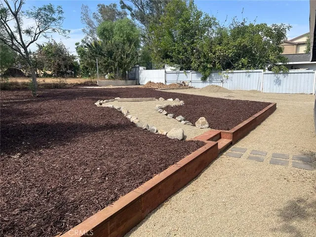 a view of a tree in the middle of a yard