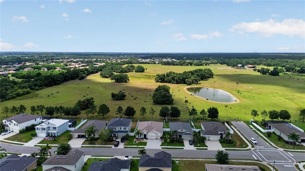 14907 Trinity Fall Way Bradenton, FL 34212 - Photo 36 of 52