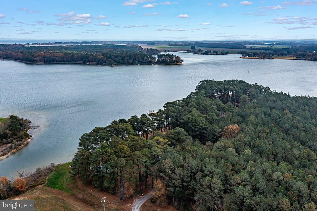 405 Courtney Lane Callao, VA 22435 - Photo 33 of 60 a view of a lake from a yard