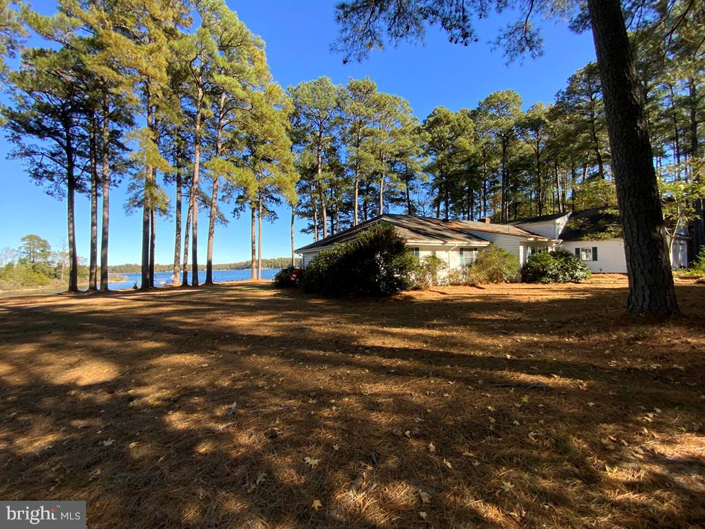 405 Courtney Lane Callao, VA 22435 - Photo 39 of 60 a view of street with large trees