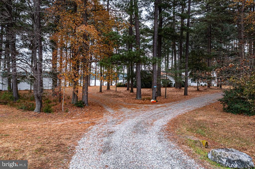 405 Courtney Lane Callao, VA 22435 - Photo 46 of 60 a view of road with trees