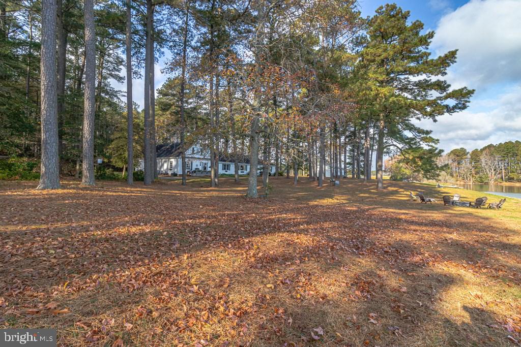 405 Courtney Lane Callao, VA 22435 - Photo 55 of 60 a view of road with trees