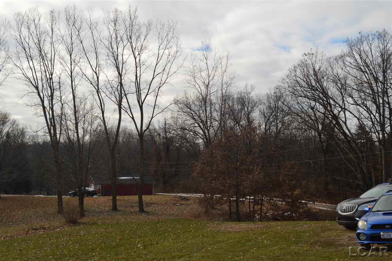 5880 Tripp Road Tipton, MI 49287 - Photo 11 of 53