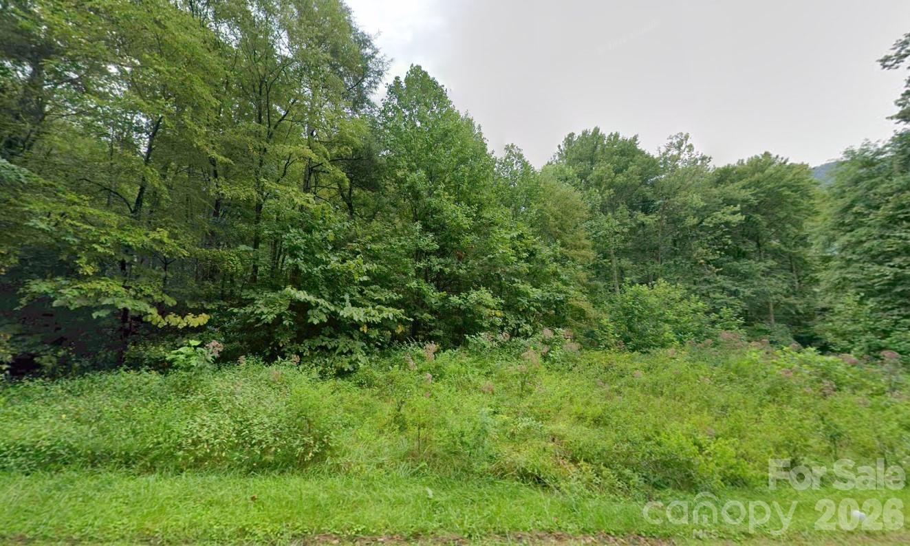 4705 Junaluska Road Andrews, NC 28901 - Photo 2 of 6